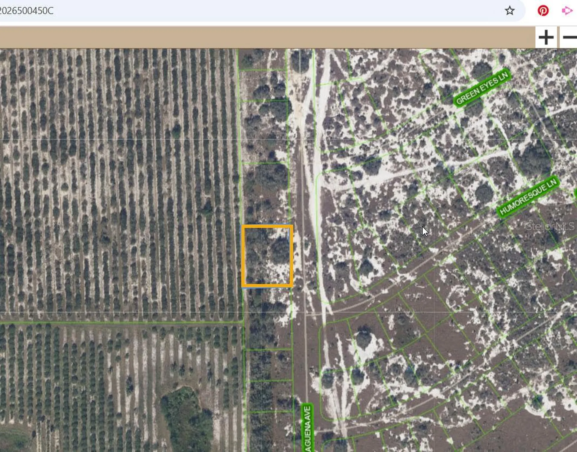 725 Malaguena Avenue Lake Placid FL 33852
