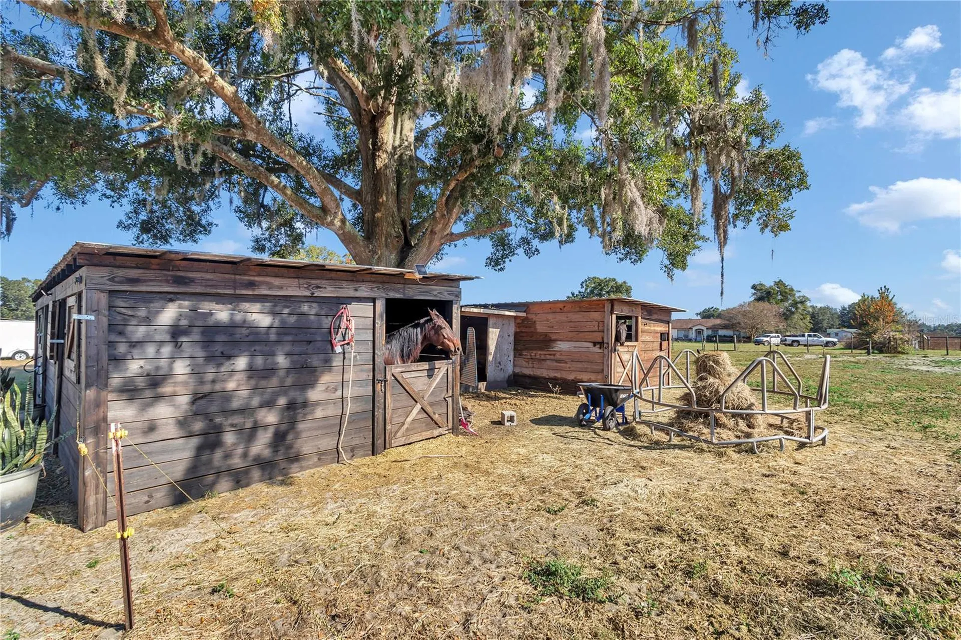 16391 S Magnolia Avenue Summerfield FL 34491