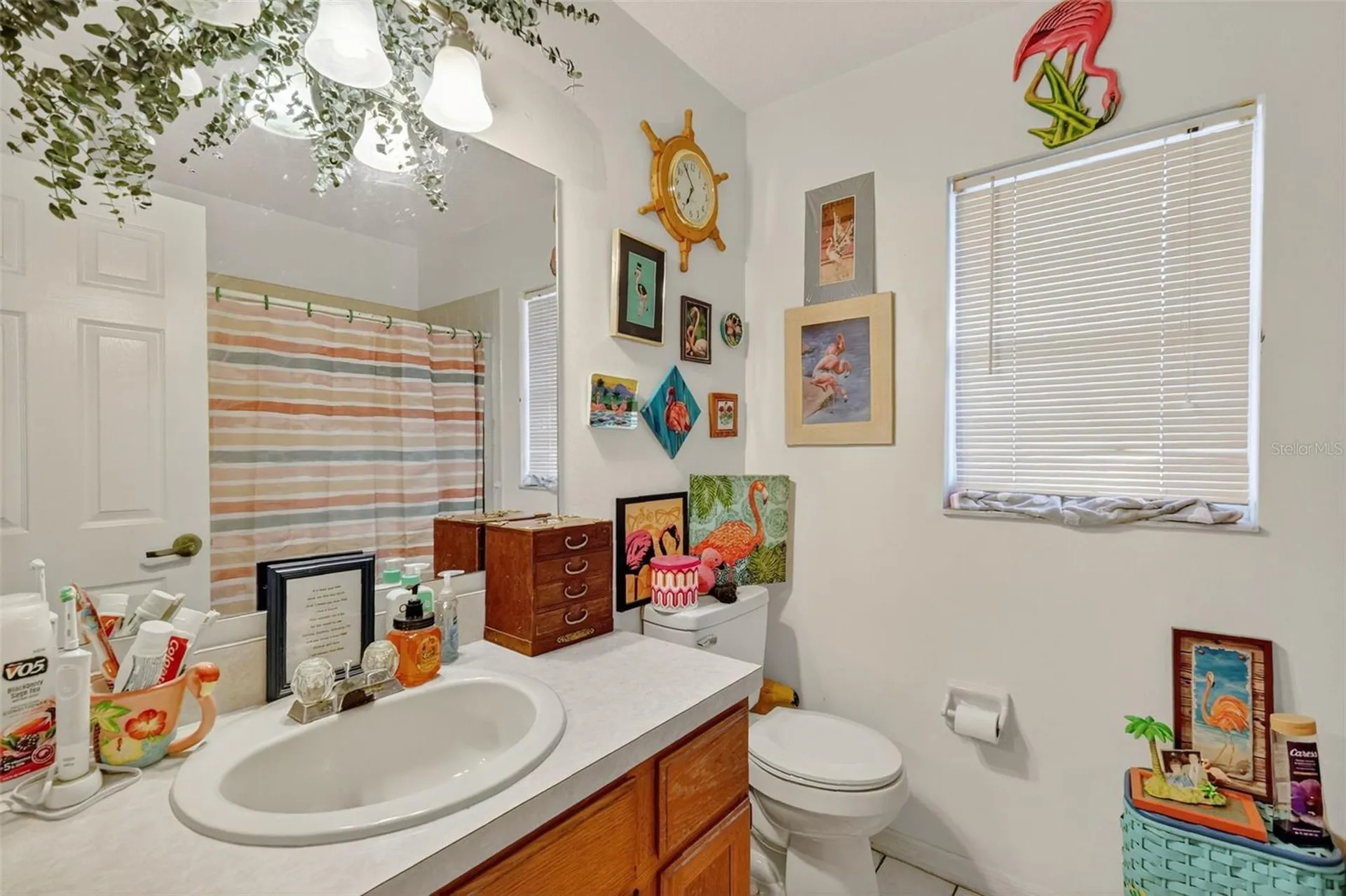 40007 Parkinsonia Street Lady Lake FL 32159