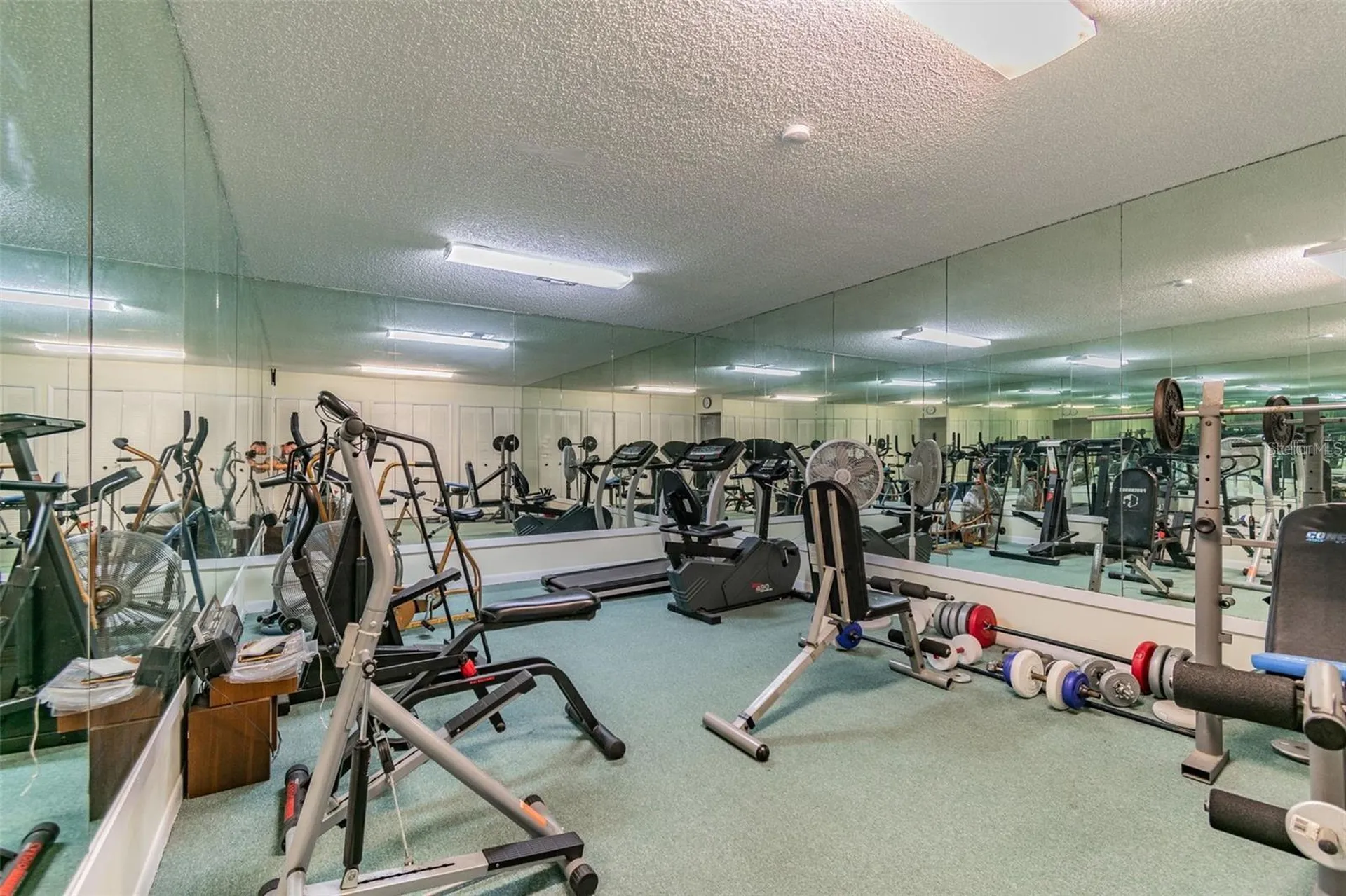 621 Windrush Bay Drive Tarpon Springs FL 34689