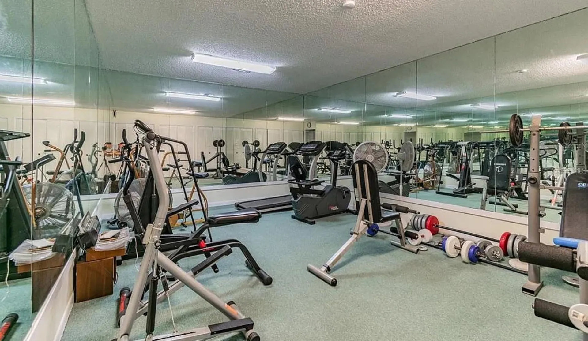 621 Windrush Bay Drive Tarpon Springs FL 34689