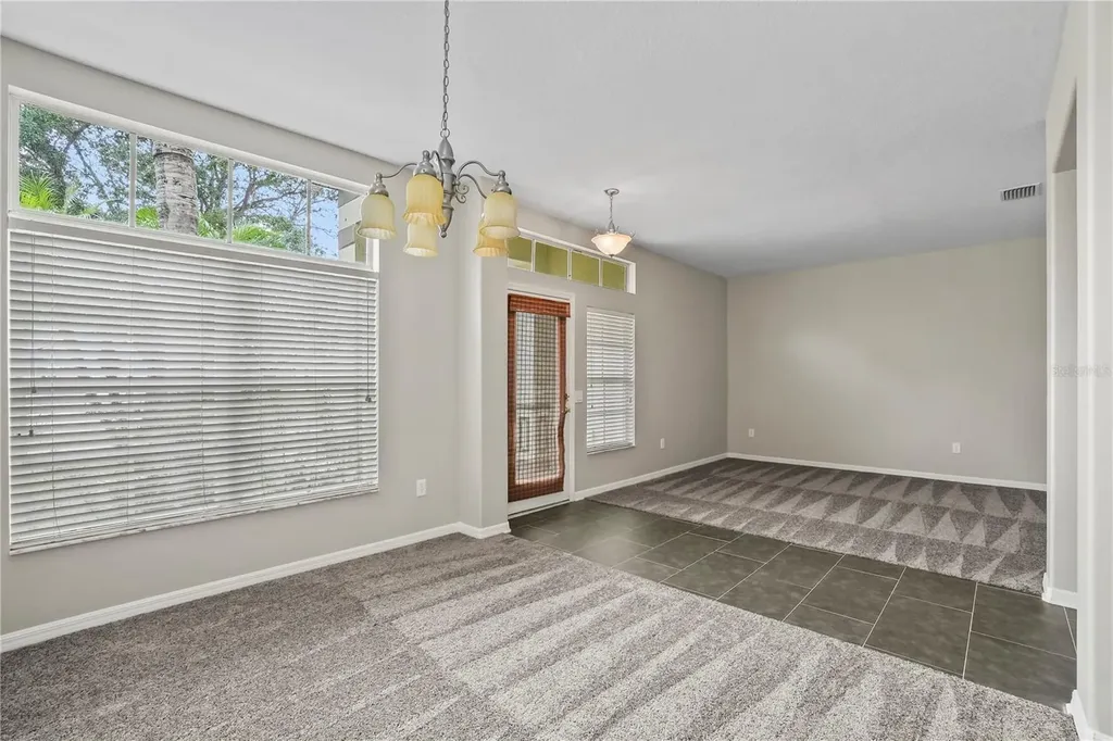 11418 Callaway Pond Drive Riverview FL 33579