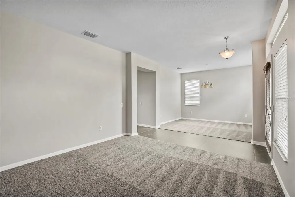 11418 Callaway Pond Drive Riverview FL 33579