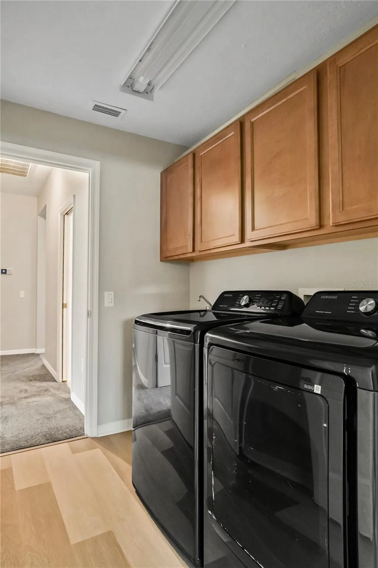 11418 Callaway Pond Drive Riverview FL 33579