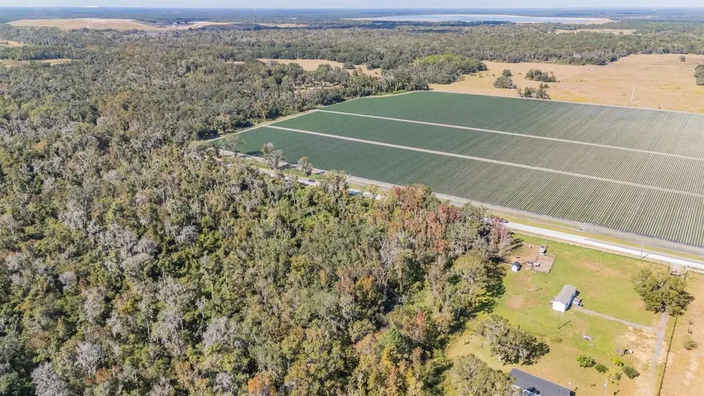 18113 672 Highway Lithia FL 33547