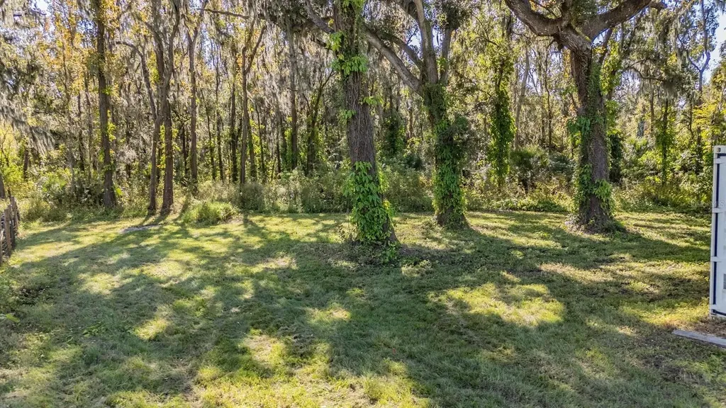18113 672 Highway Lithia FL 33547