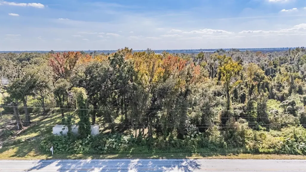 18113 672 Highway Lithia FL 33547
