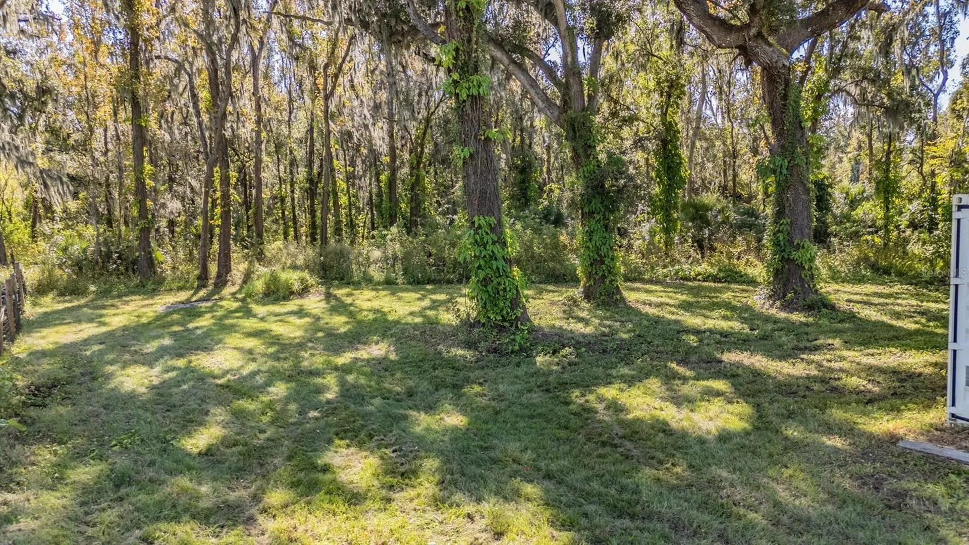 18113 672 Highway Lithia FL 33547