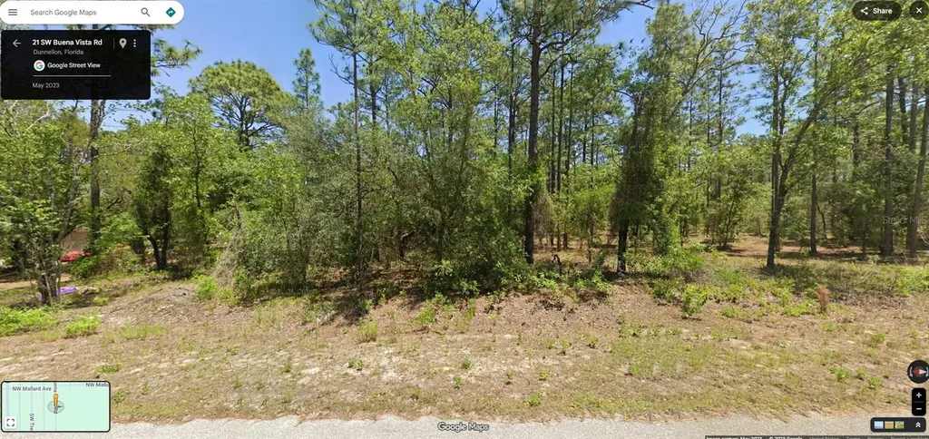 Tbd SW Buena Vista Road Dunnellon FL 34431