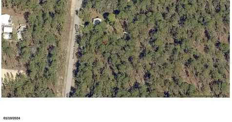 Tbd SW Buena Vista Road Dunnellon FL 34431