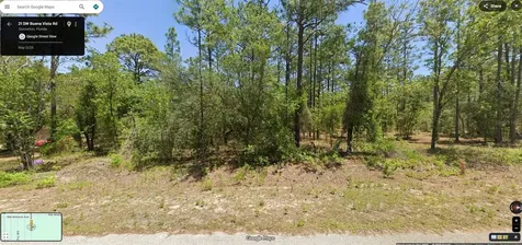 Tbd SW Buena Vista Road Dunnellon FL 34431