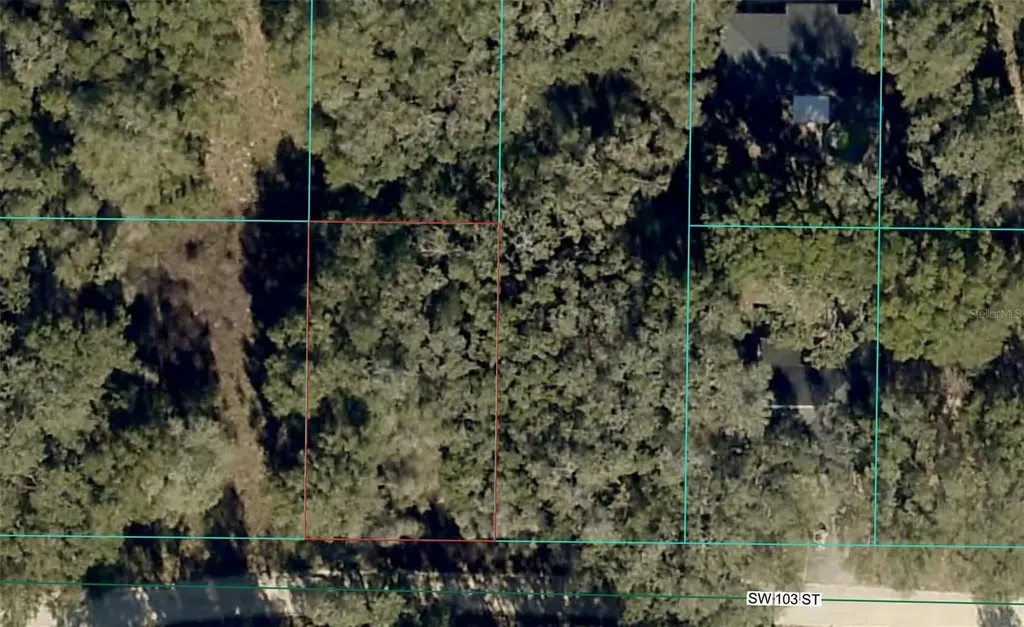 Tbd SW 103rd Street Dunnellon FL 34432