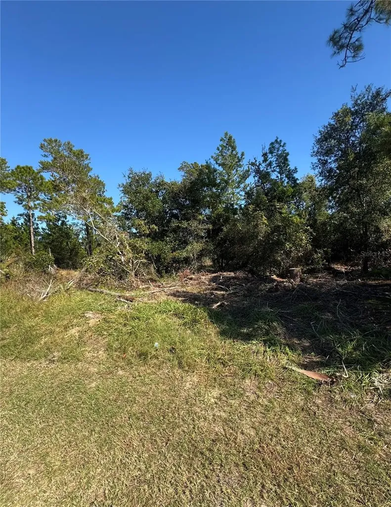 19 Freeport Lane Palm Coast FL 32137