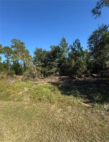 19 Freeport Lane Palm Coast FL 32137