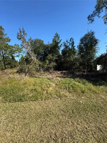 19 Freeport Lane Palm Coast FL 32137