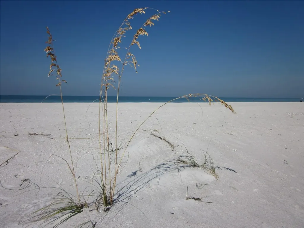 1400 Gulf Boulevard Clearwater Beach FL 33767