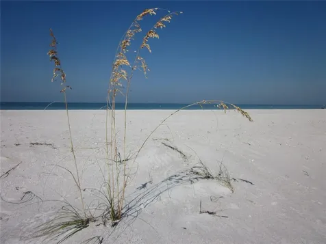 1400 Gulf Boulevard Clearwater Beach FL 33767