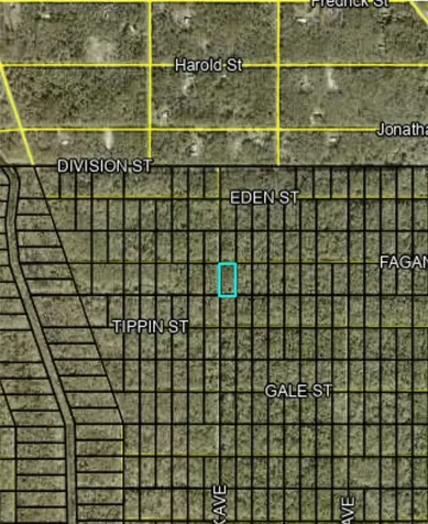 Fagan Hastings FL 32145