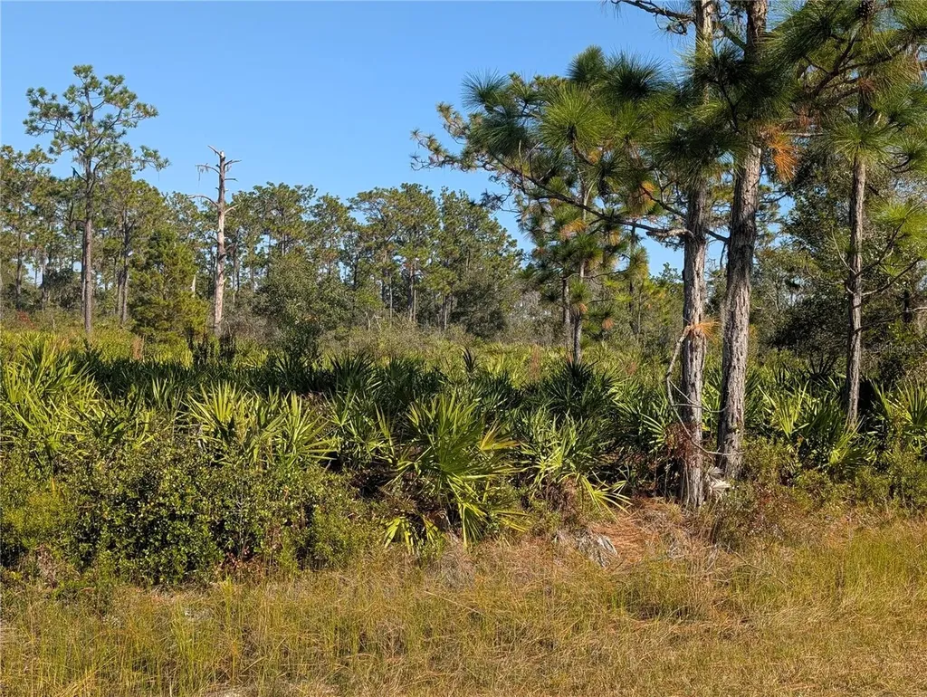 El Dorado Drive Indian Lake Estates FL 33855