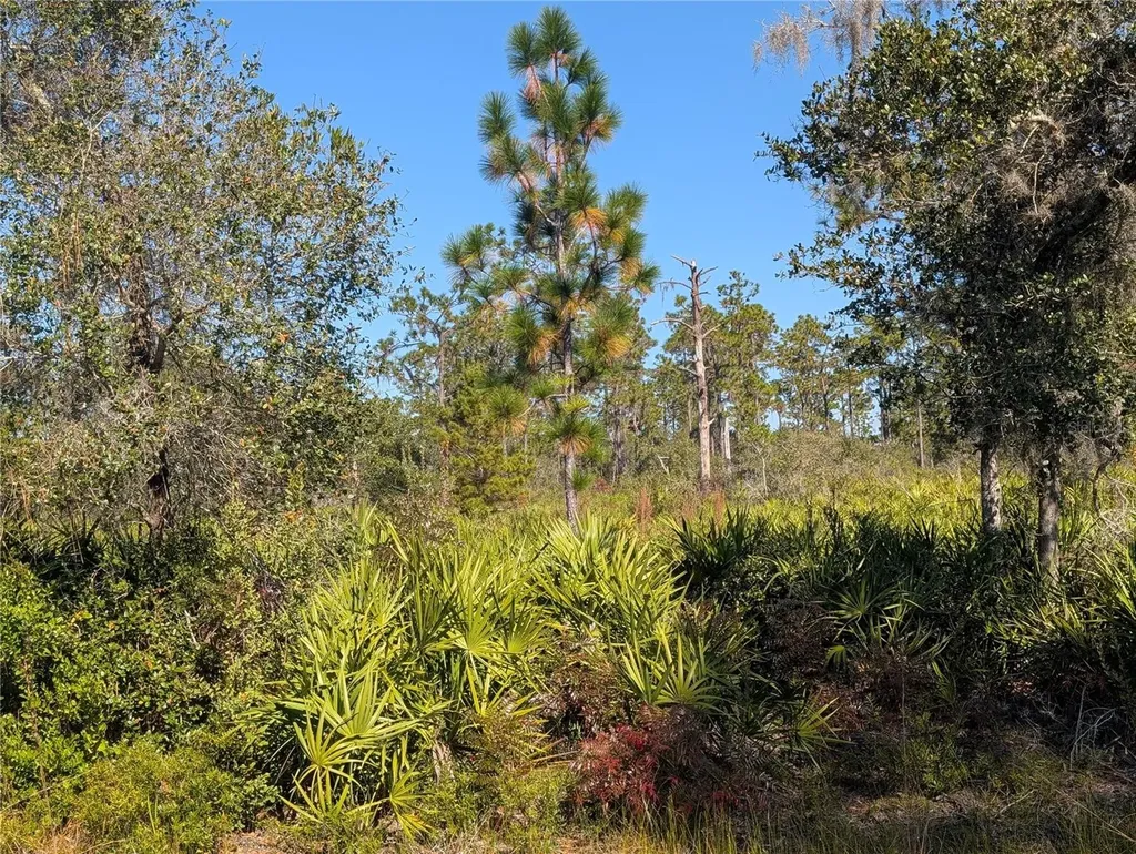 El Dorado Drive Indian Lake Estates FL 33855