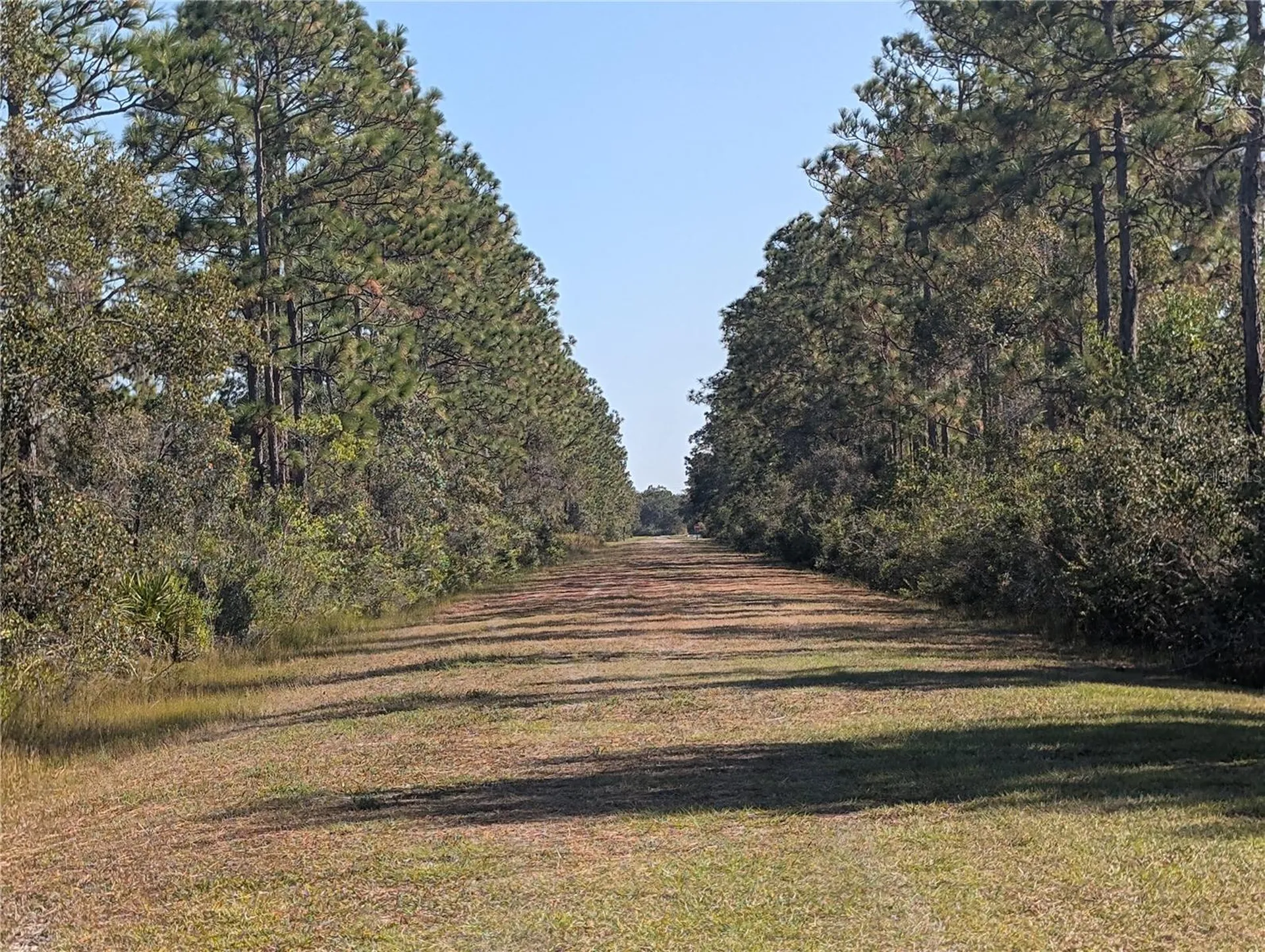 El Dorado Drive Indian Lake Estates FL 33855