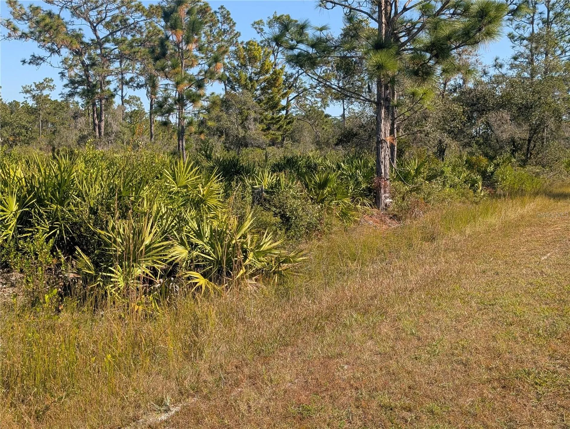 El Dorado Drive Indian Lake Estates FL 33855