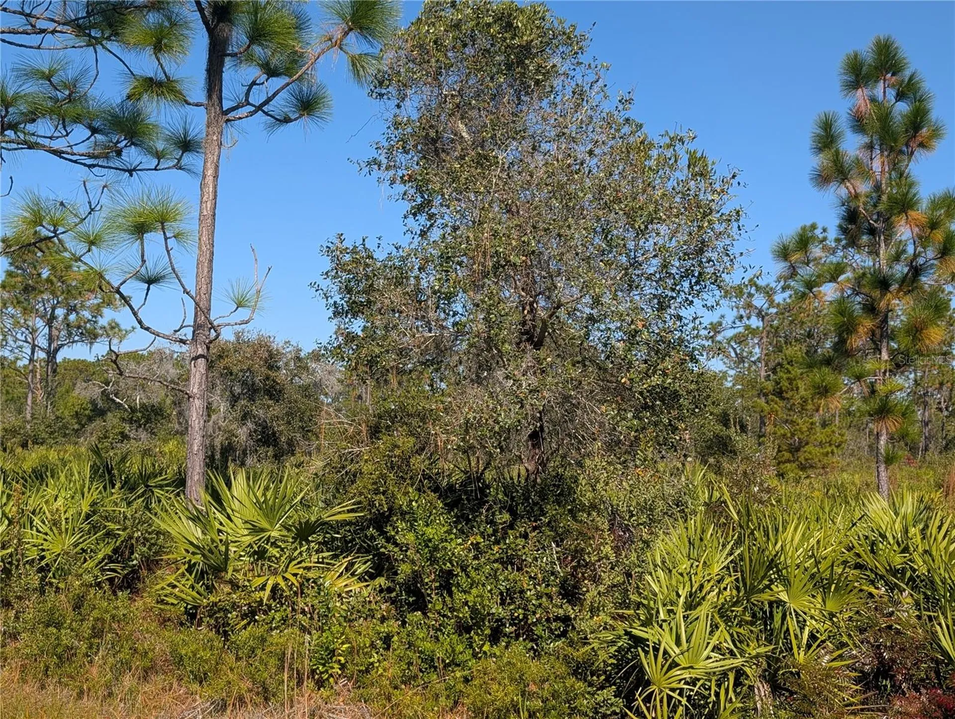 El Dorado Drive Indian Lake Estates FL 33855