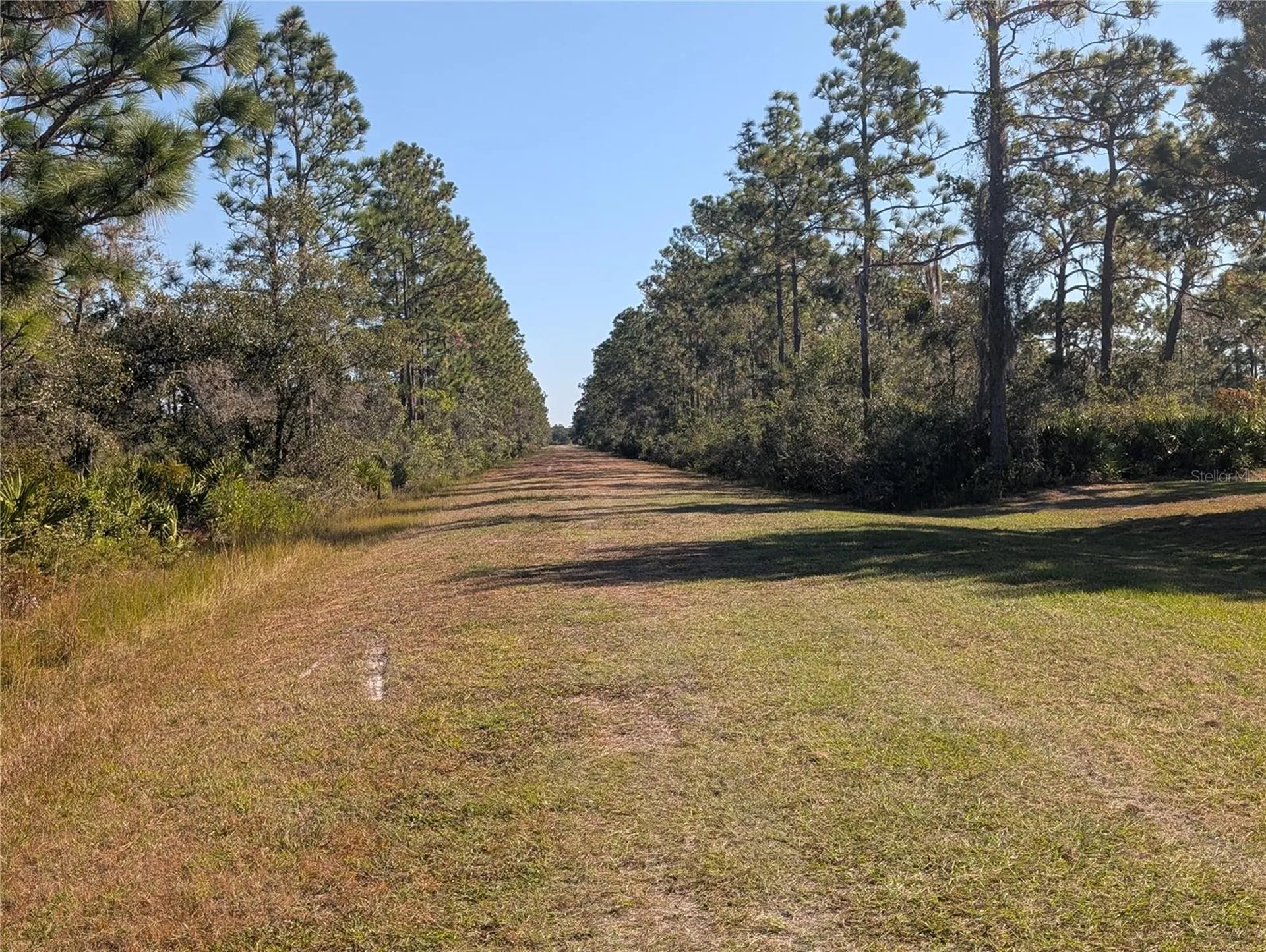 El Dorado Drive Indian Lake Estates FL 33855