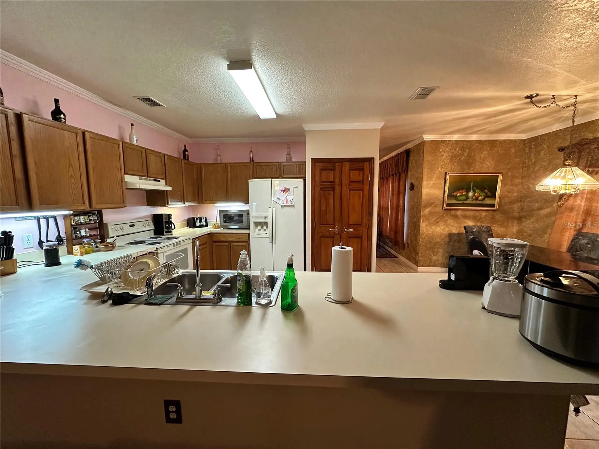 607 Gaul Way Kissimmee FL 34759