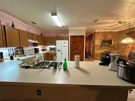 607 Gaul Way Kissimmee FL 34759
