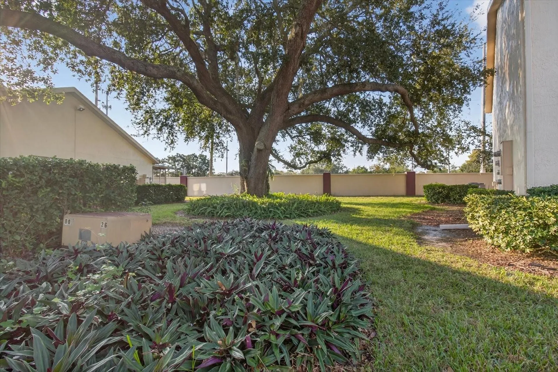 7802 Hardwick Drive New Port Richey FL 34653