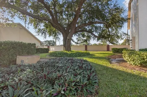 7802 Hardwick Drive New Port Richey FL 34653