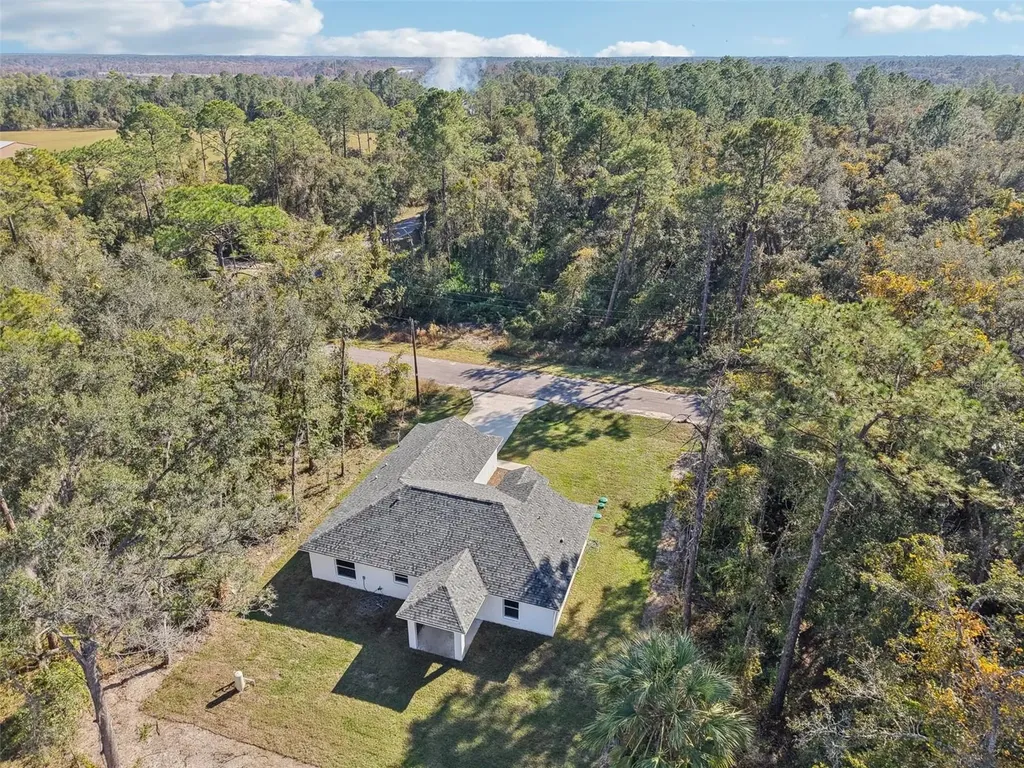 3 Sequoia Drive Trace Ocklawaha FL 32179