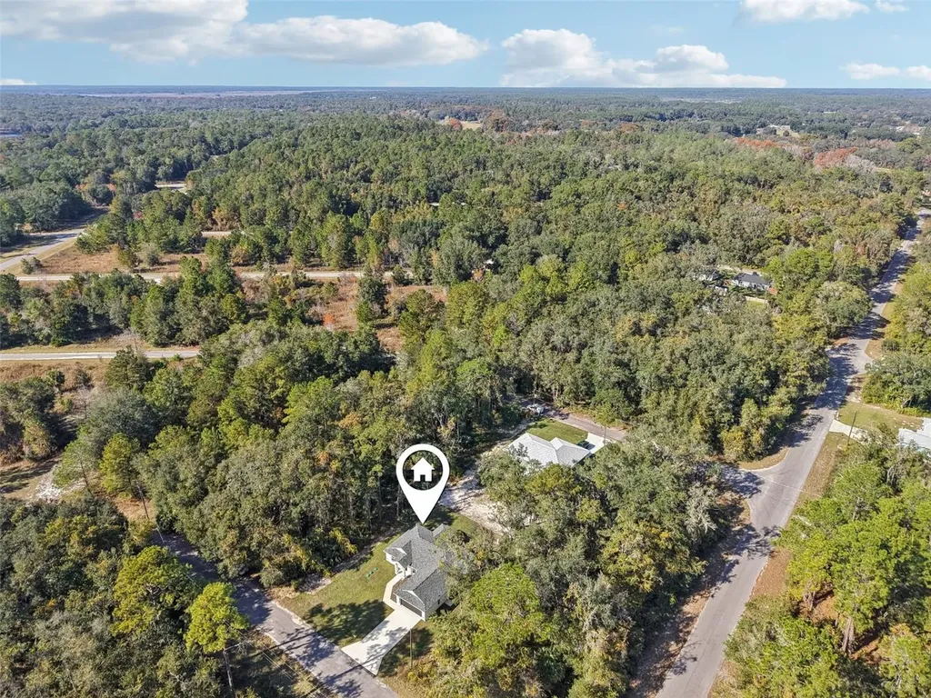 3 Sequoia Drive Trace Ocklawaha FL 32179