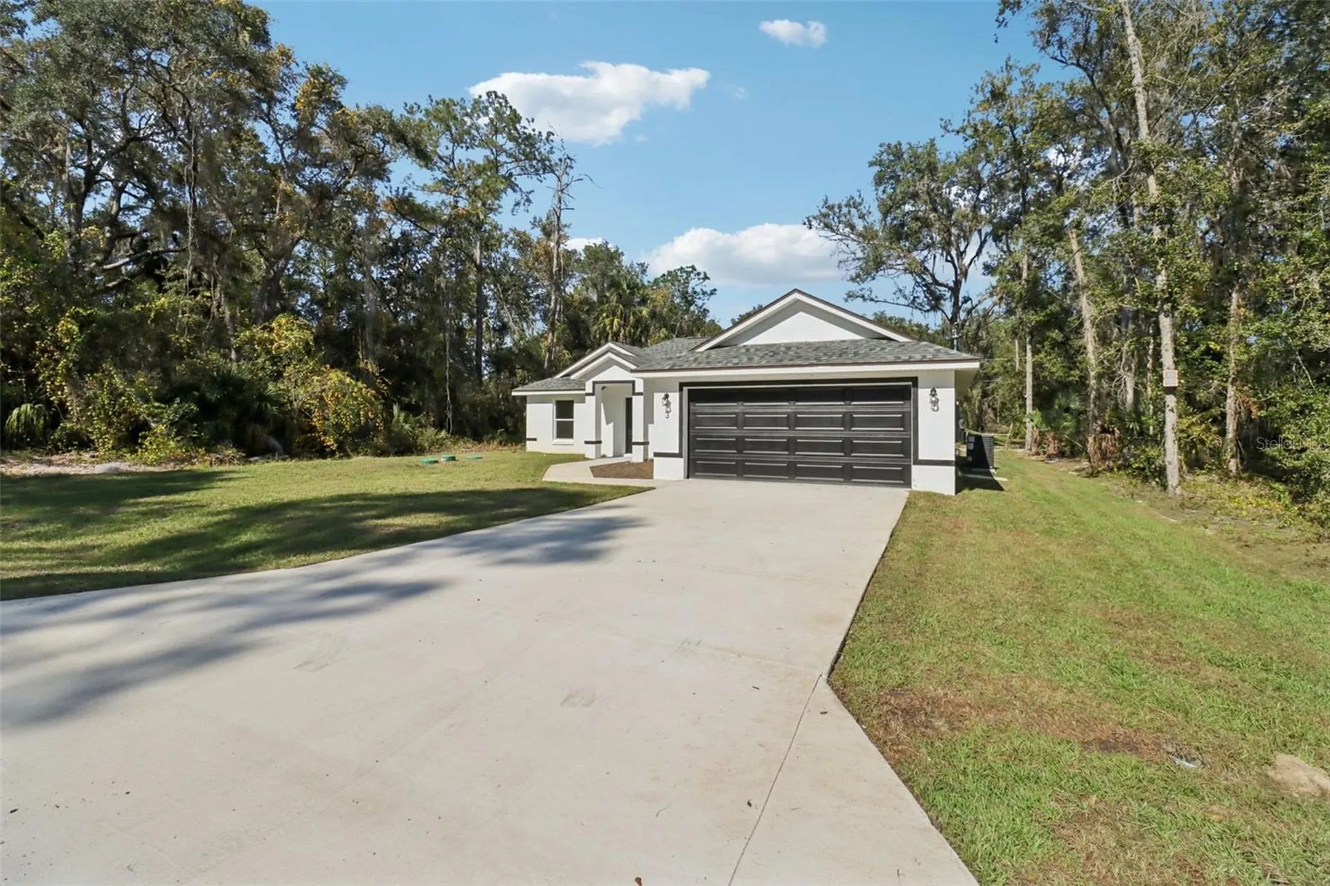 3 Sequoia Drive Trace Ocklawaha FL 32179