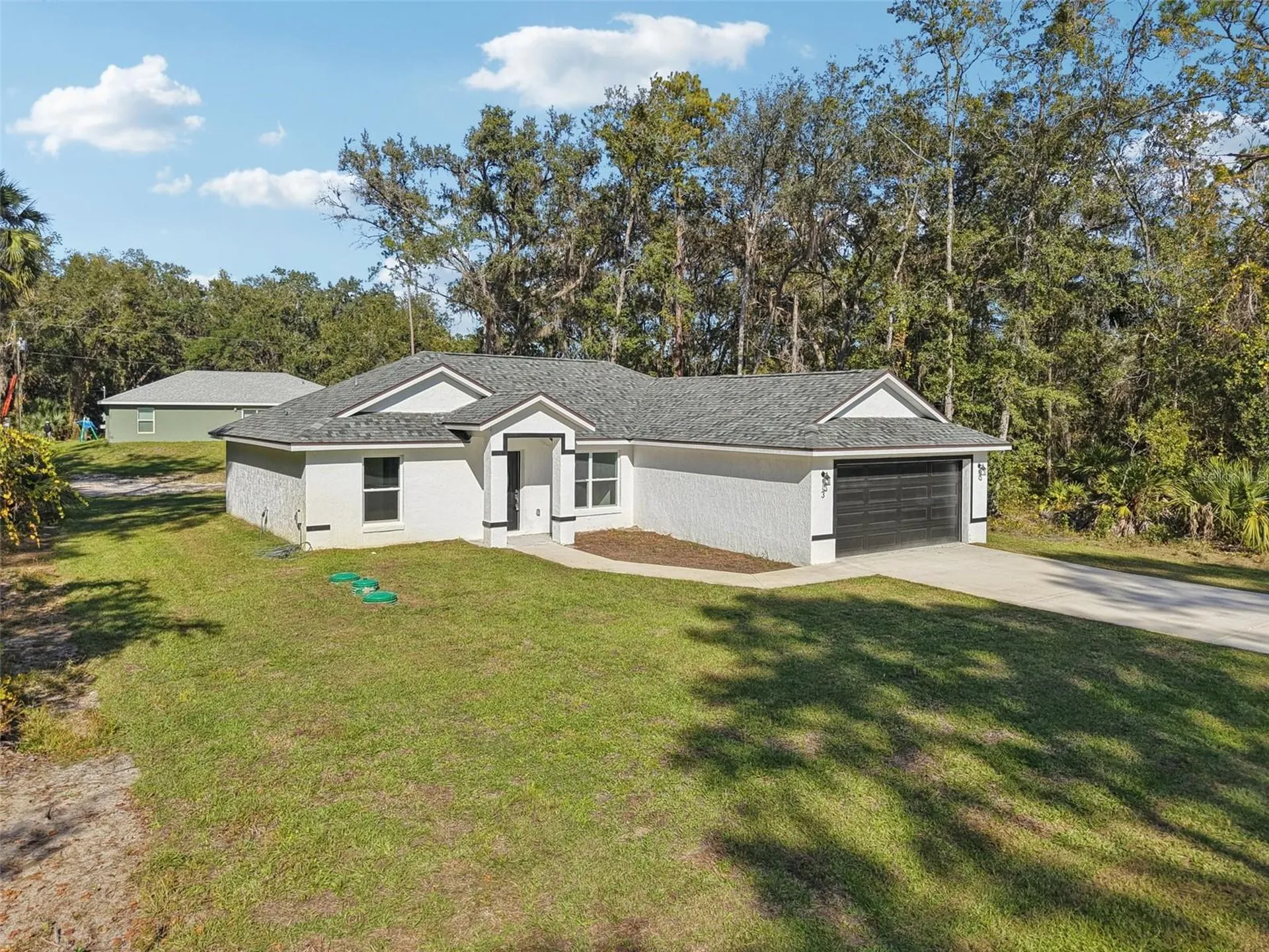 3 Sequoia Drive Trace Ocklawaha FL 32179