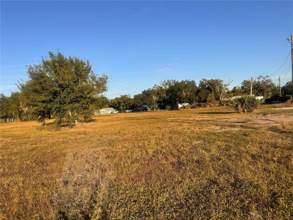 245 S Brevard Avenue Arcadia FL 34266