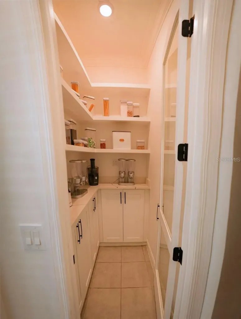 10067 Austrina Oak Loop Winter Garden FL 34787