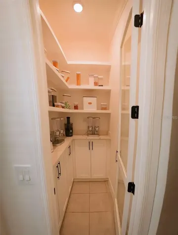 10067 Austrina Oak Loop Winter Garden FL 34787