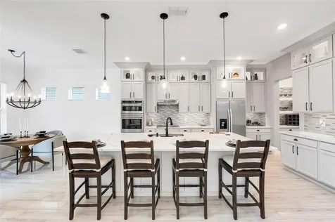 10067 Austrina Oak Loop Winter Garden FL 34787
