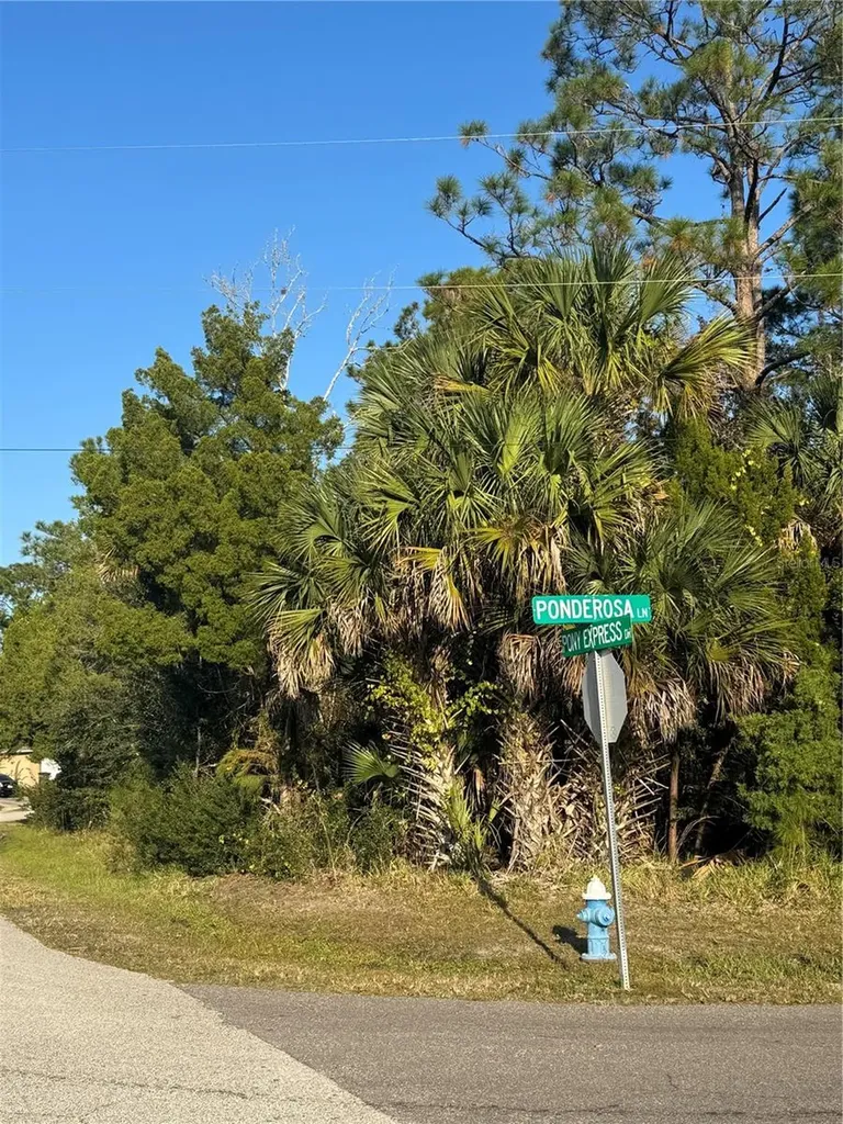 30 Pony Express Drive Palm Coast FL 32164