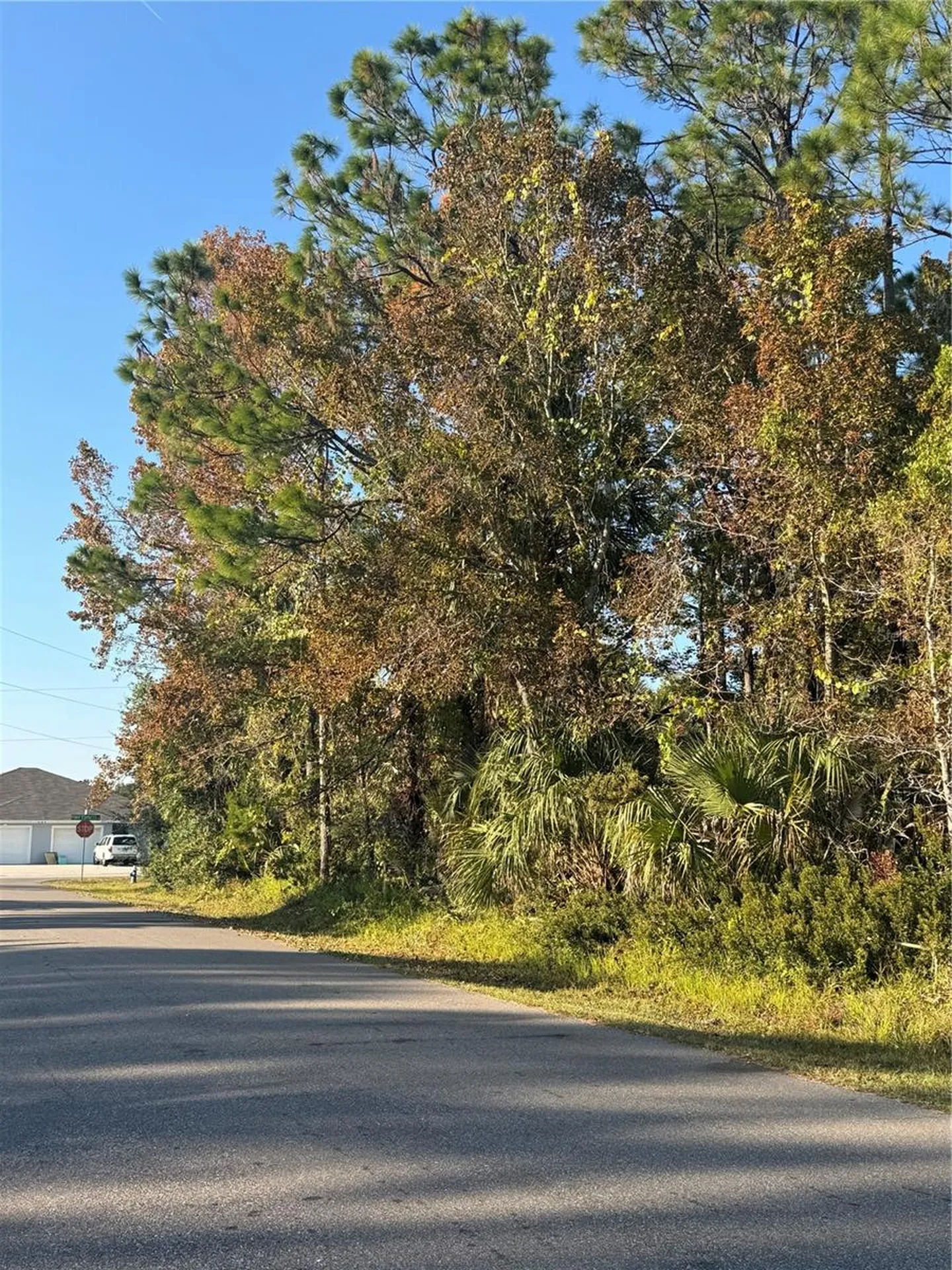 30 Pony Express Drive Palm Coast FL 32164