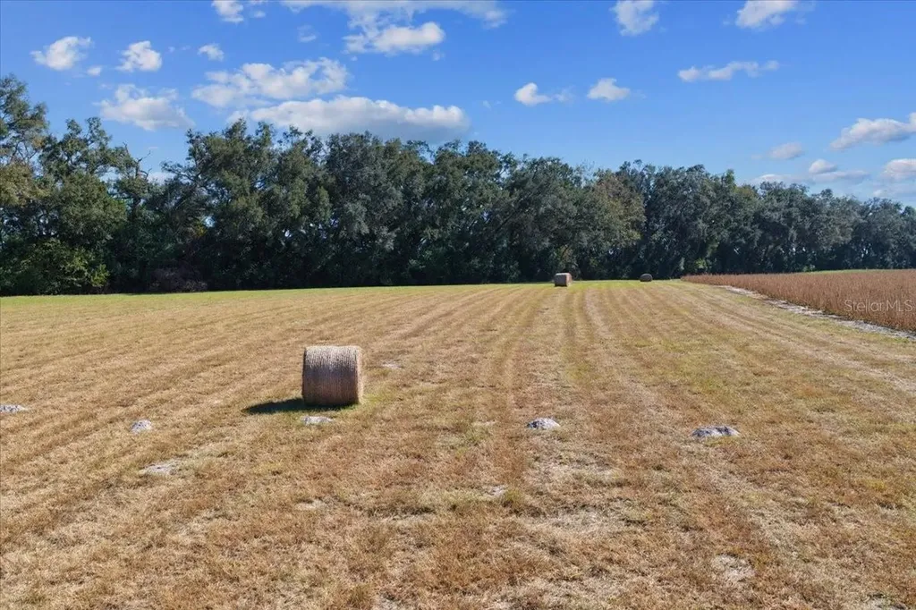 Tbd NE 150 Street Trenton FL 32693