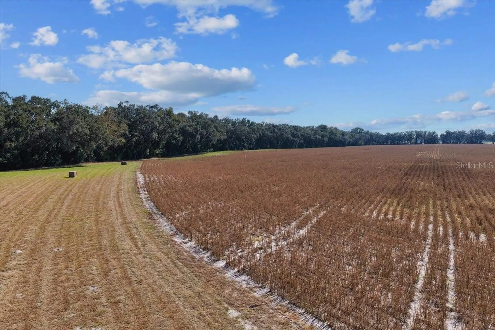 Tbd NE 150 Street Trenton FL 32693