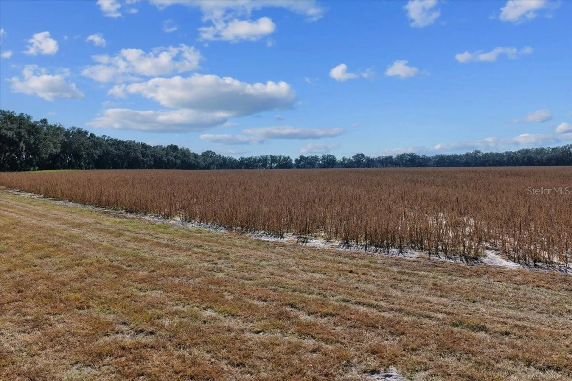 Tbd NE 150 Street Trenton FL 32693