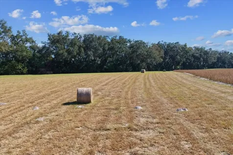 Tbd NE 150 Street Trenton FL 32693