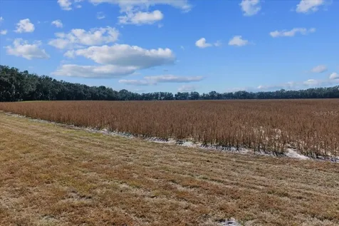 Tbd NE 150 Street Trenton FL 32693