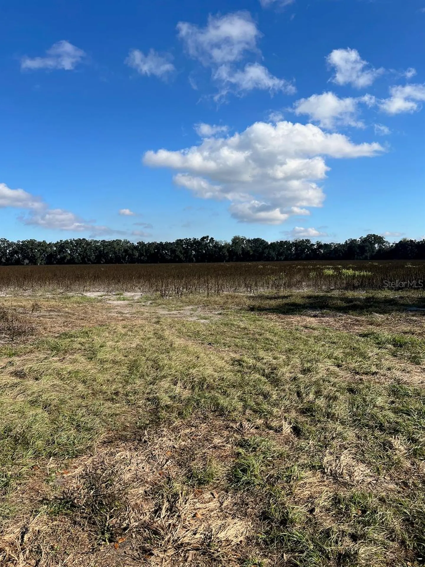 Tbd N Bronson Avenue Trenton FL 32693