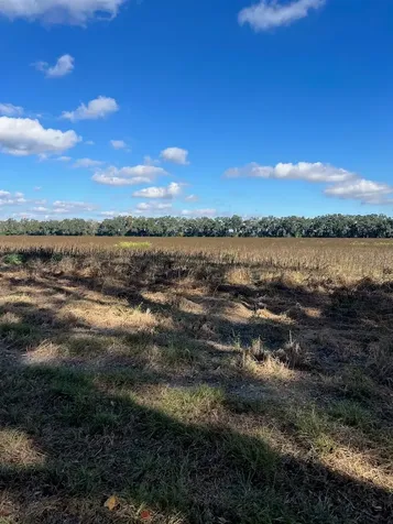 Tbd N Bronson Avenue Trenton FL 32693