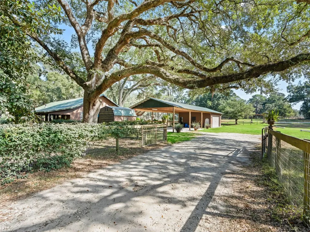 4551 NE 160th Avenue Williston FL 32696